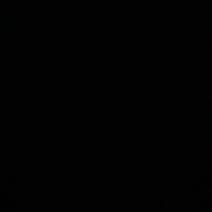 Meet your Posher, Adrian